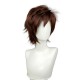 Arena of Valor Lan Cosplay Wig Brown Short Wig with Cap Anime Wigs 30CM