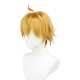 Genshin Impact Dainsleif Cosplay Wig Yellow Short Wig with Cap Anime Wigs for Adults Halloween Christmas Carnival Party 30CM