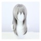 Honkai Impact 3rd Clara Cosplay Wig Silver Short Wig with Cap Anime Wigs for Adults and Kids 50CM