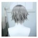 Honkai Impact 3rd Explorer Star Cosplay Wig Silver Short Wig with Cap Anime Wigs for Men 30CM