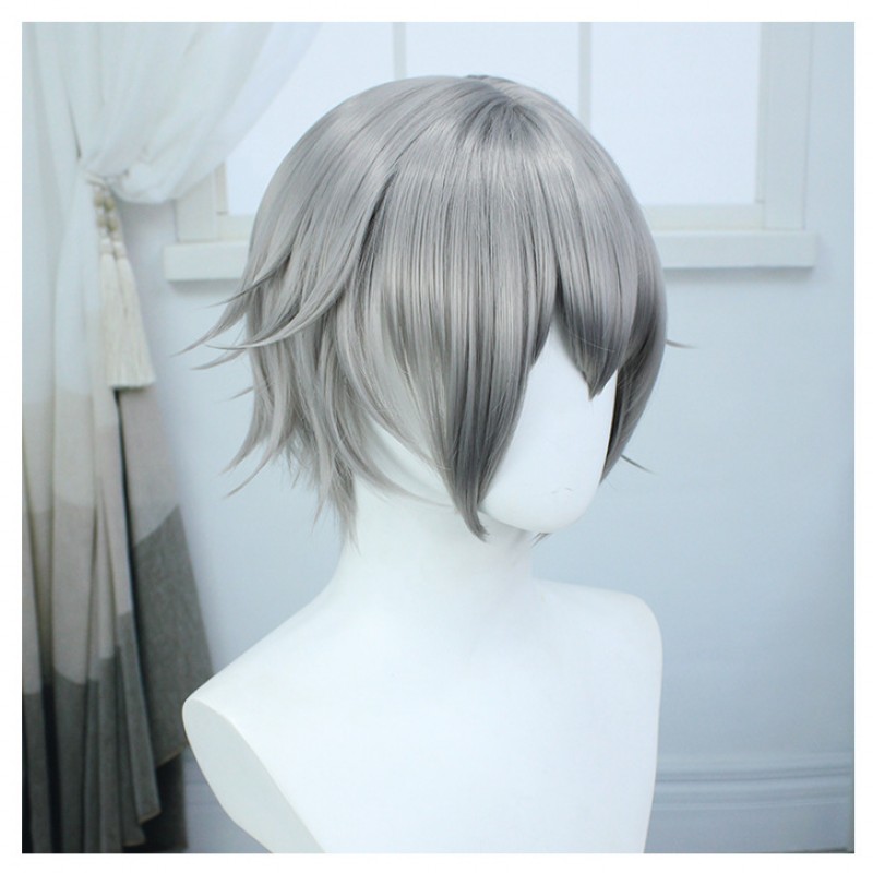 Honkai Impact 3rd Explorer Star Cosplay Wig Silver Short Wig with Cap Anime Wigs for Men 30CM