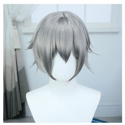 Honkai Impact 3rd Explorer Star Cosplay Wig Gray Short Wig with Cap Anime Wigs for Men 30CM
