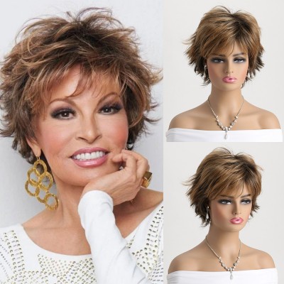 Synthetic Wig  Brown Short Curly Hair Small Curly Wig Headgear for Women