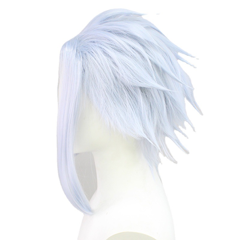 Cosplay Wig Silver Short Wig with Cap Anime Wigs for Adults Halloween Christmas 